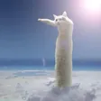Longcat Wallet