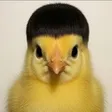 Billetera chickwiffade