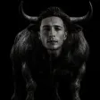 Luke BULLmar 钱包