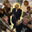 The Based Monkey 钱包