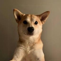 OKO