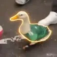 ‌Ví The Patriotic Duck