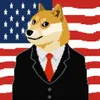 DOGE AI