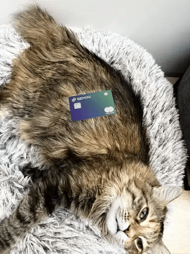 legume token on Solana