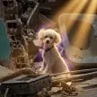 ‌Ví Dolly