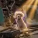 Dolly