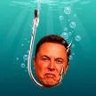 Bait Elon 钱包