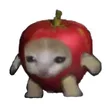 ‌Ví Apple Cat