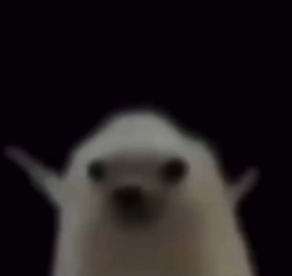 NED