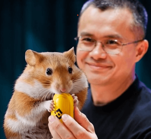 币安鼠