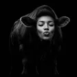 The Black Cow 钱包