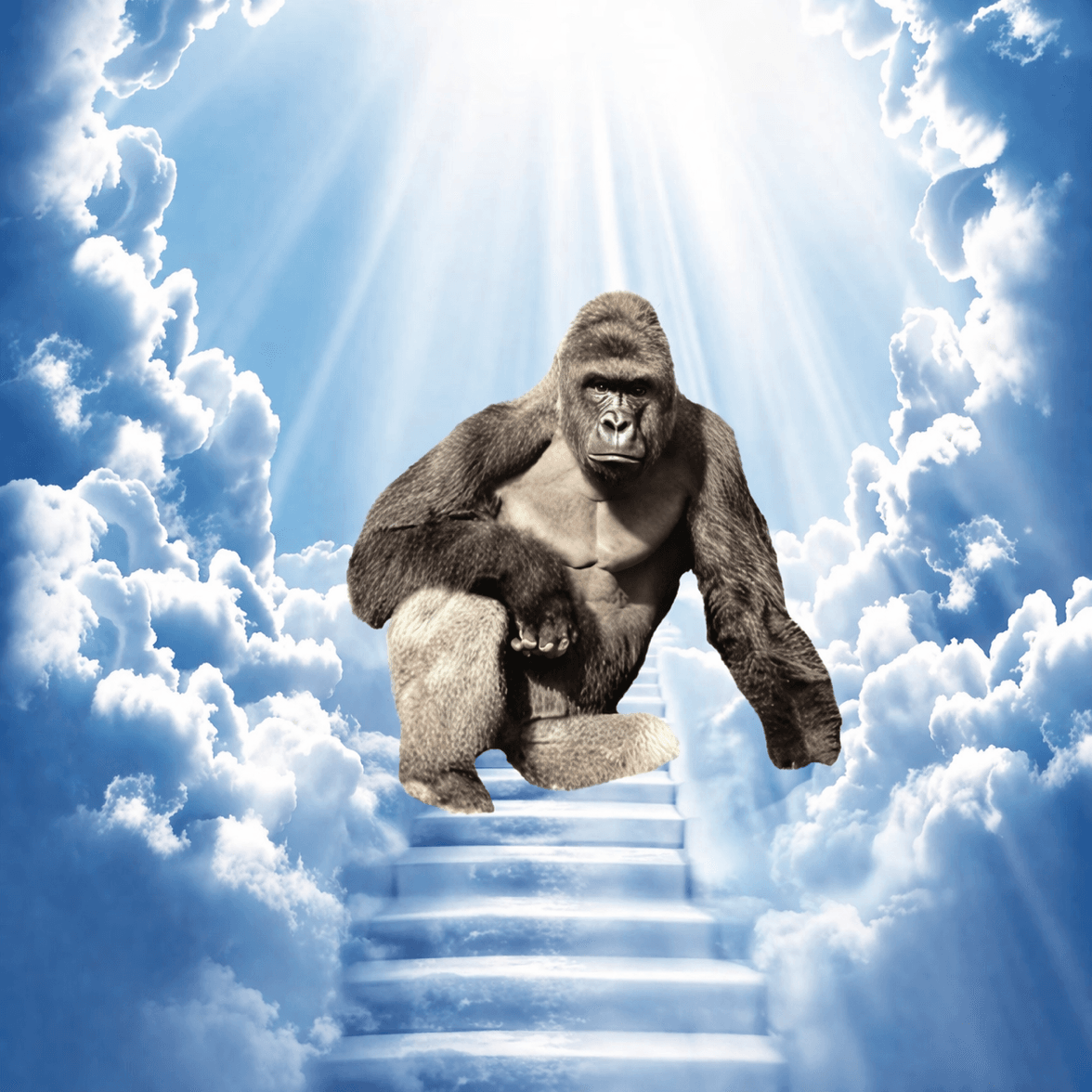 HARAMBE