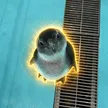 むつき 钱包