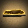 空を飛ぶ動物たち 钱包