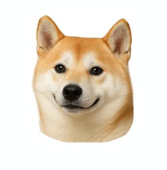 JINDOIN