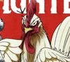 Rooster Fighter