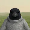 crowneck