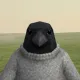 CROWNECK