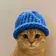 CATWIF