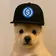PUP