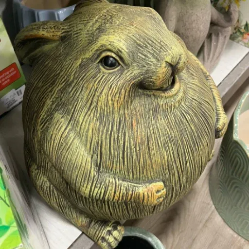 chungus 钱包
