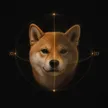Qubit Inu Wallet