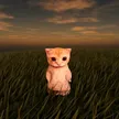 Animated El Gato Wallet