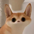 meepinu 钱包