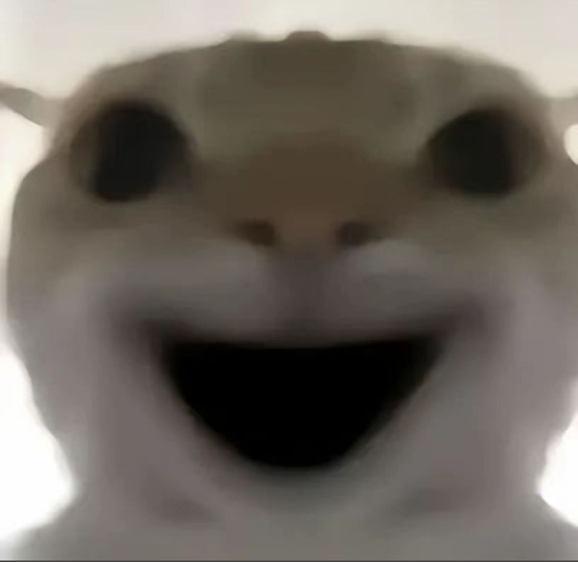 哈基米