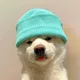 MIAN