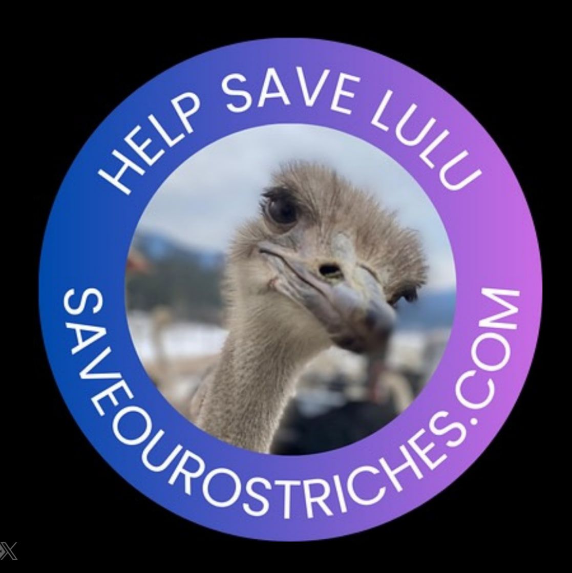 LULU