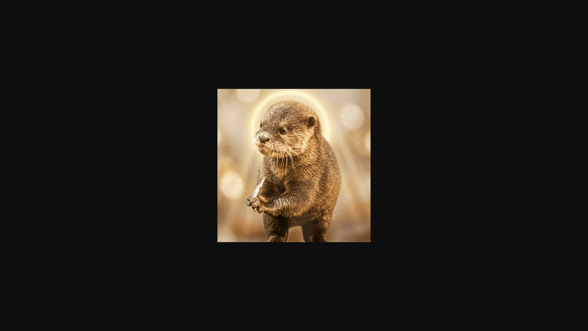 Baby Bao The Otter