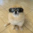 Kori The Pom Wallet