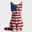 AMERICAT Wallet