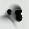 the white ape