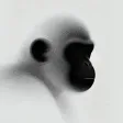 the white ape 钱包