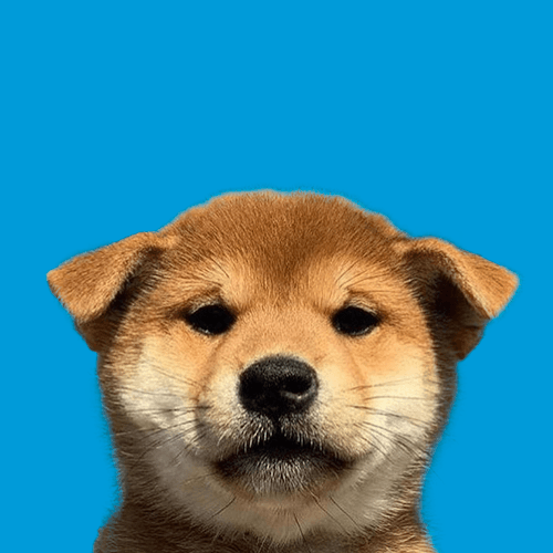 PFPDOG