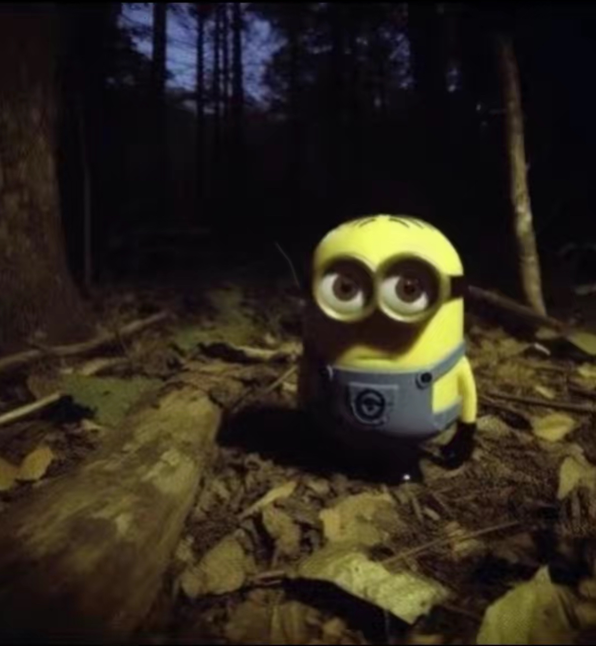 MINION