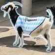 The Messi Goat 钱包