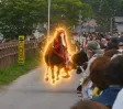 The Nietzschean Horse Wallet