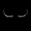 The Horns 钱包