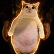 The Chunky Cat 钱包