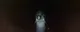 GERALD