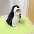 Pengu Inu Wallet