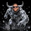 The Diamond Bull 钱包