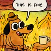 THIS IS FINE
