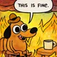 FINE