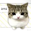 被生活磨平了棱角 Wallet