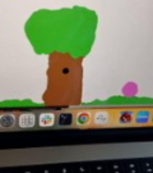 BOB