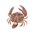 Billetera Polyascus gregaria